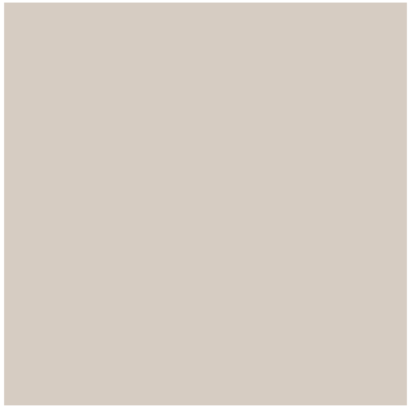 CERAMICA  55123 RT 55X55 LC CX C/2,15 MT
